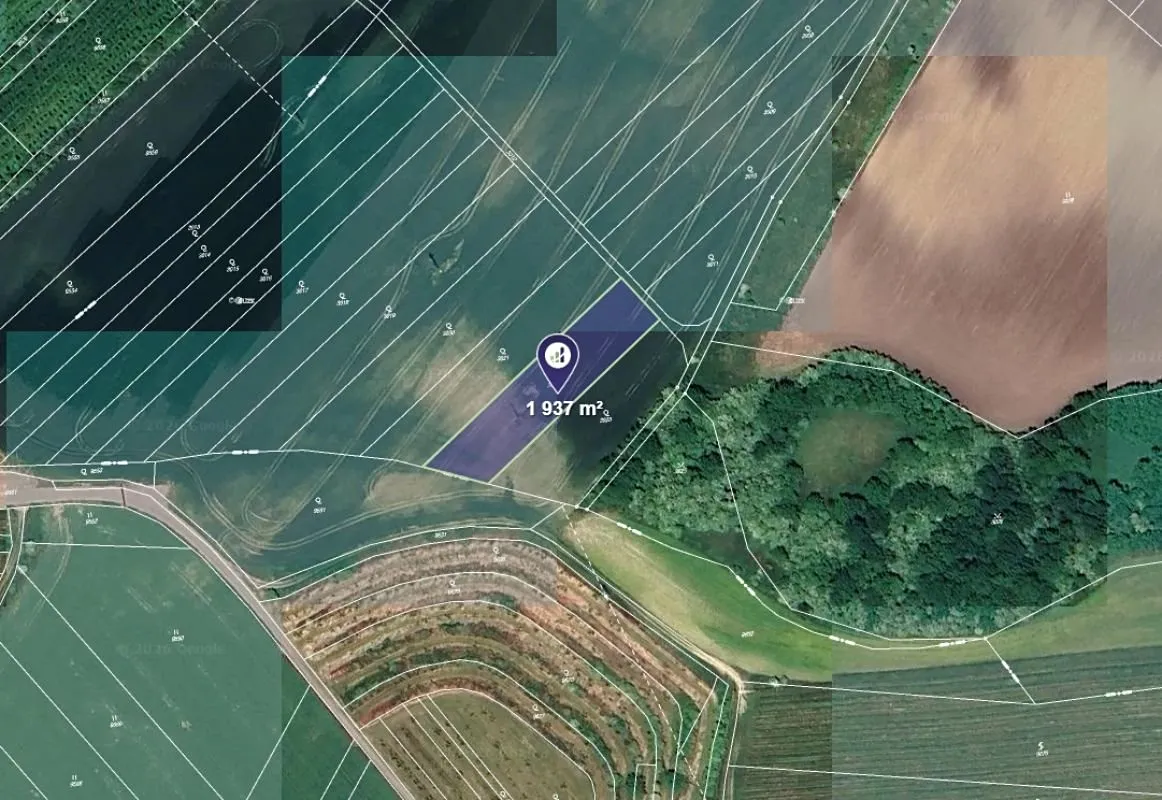 Prodej pole 1937 m²